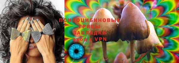 PSILOCYBIN Новодвинск