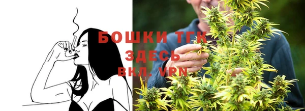 PSILOCYBIN Новодвинск