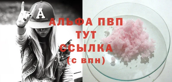 PSILOCYBIN Новодвинск